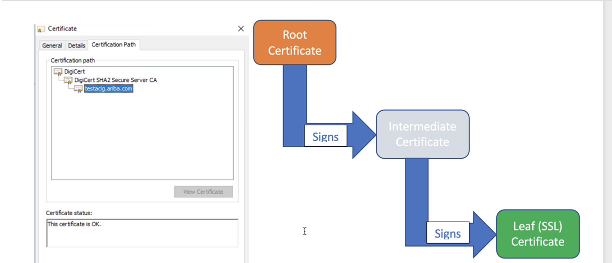 How to download the root, intermediate and leaf certificates from any ...